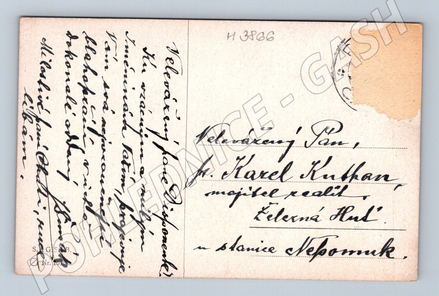 Pohlednice jelen u lesa – malířský motiv (M3866)