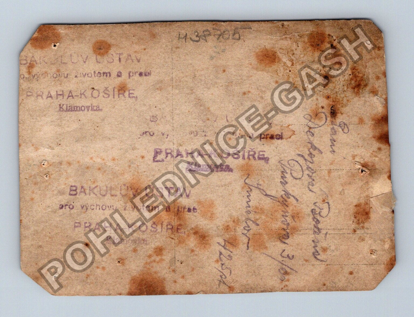 Stará fotografie Muž s knírem v uniformě Praha-Košíře (M38705)