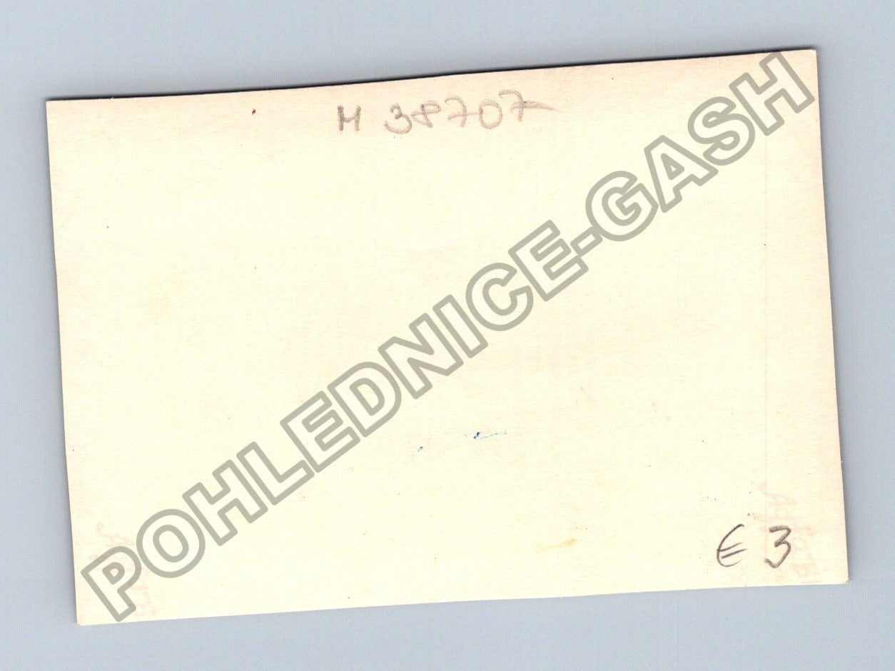 Stará fotografie Muži v historických uniformách s puškami (M38707)