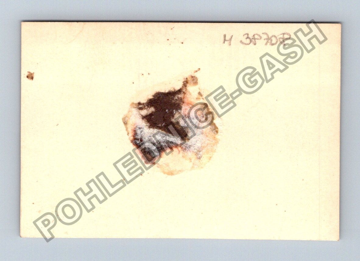 Stará fotografie portrét muže v sokolské uniformě 1930 (M38708)