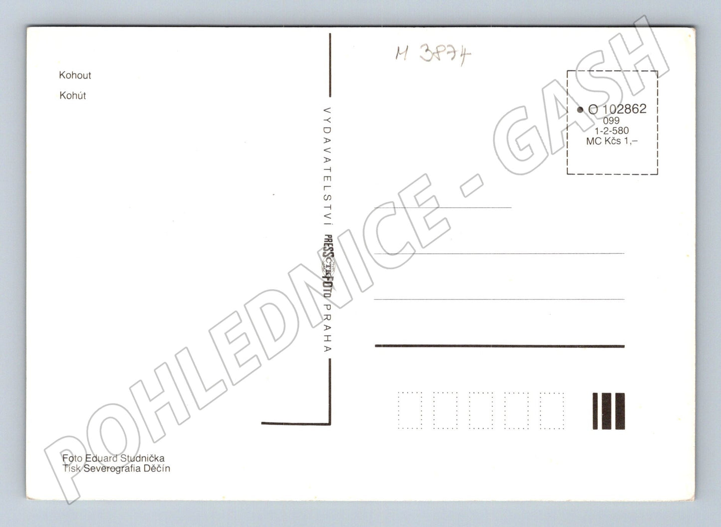 Pohlednice kohout – Pressfoto, Studnička (M3874)