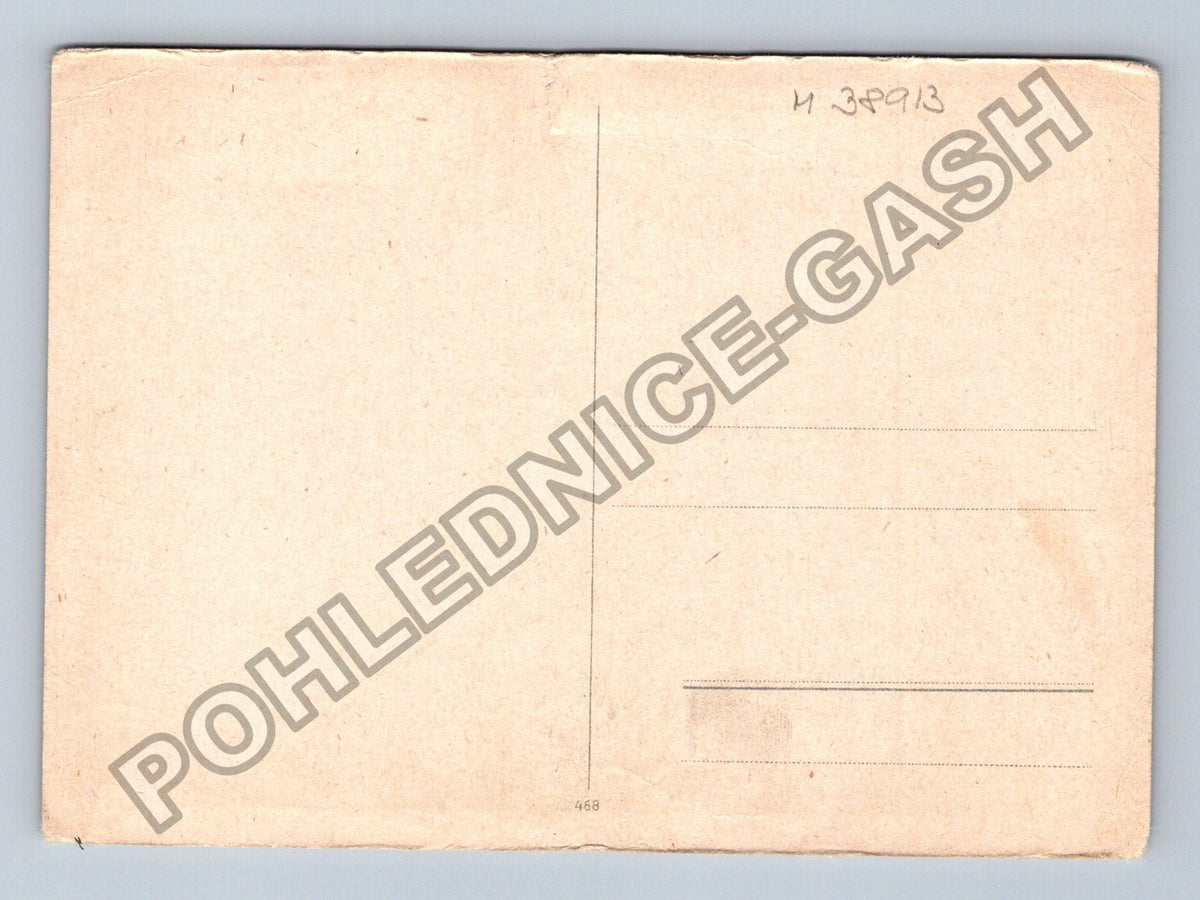 Pohlednice vodní plocha stromy kachny (M38913)