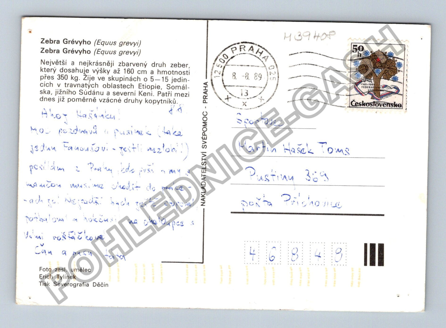 Pohlednice Zebra Grévyho Praha 1989 (M39408)
