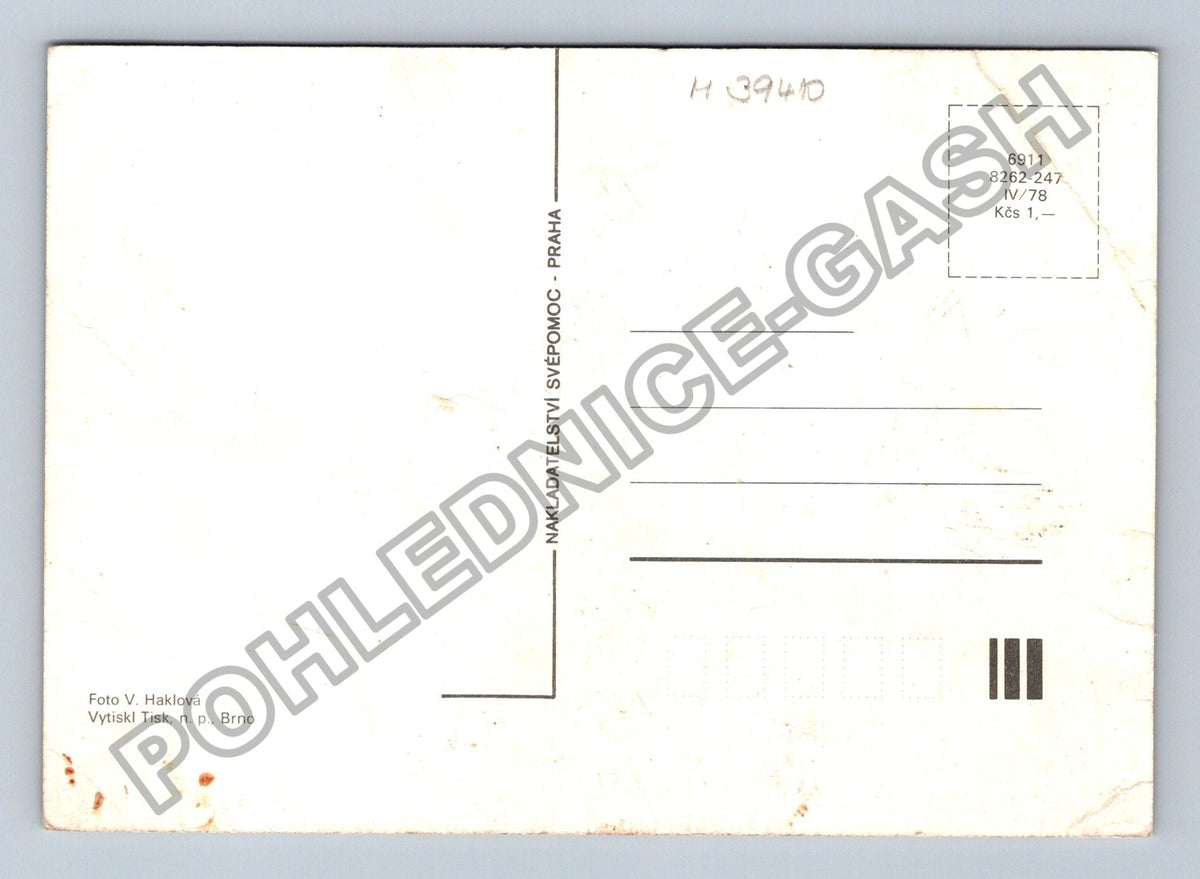Pohlednice roztomilé kotě s modrýma očima (M39410)