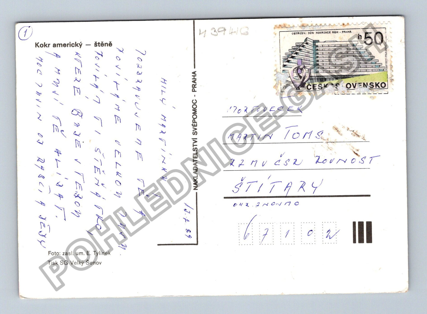 Pohlednice Kokeršpaněl štěně (M39416)