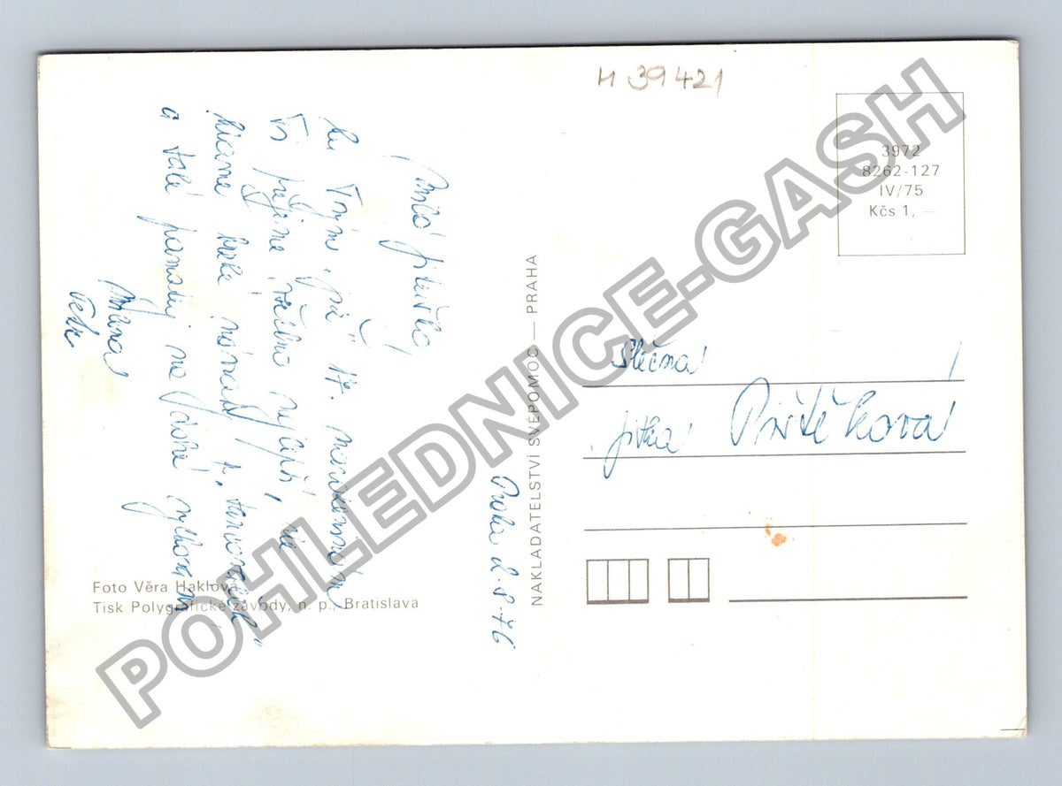 Pohlednice Štěňata bernardýna v košíku (M39421)