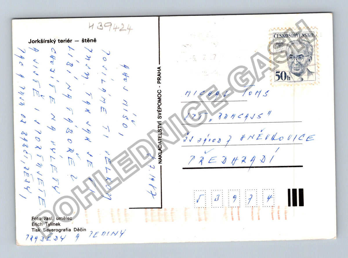 Pohlednice Jorkšírský teriér štěně (M39424)