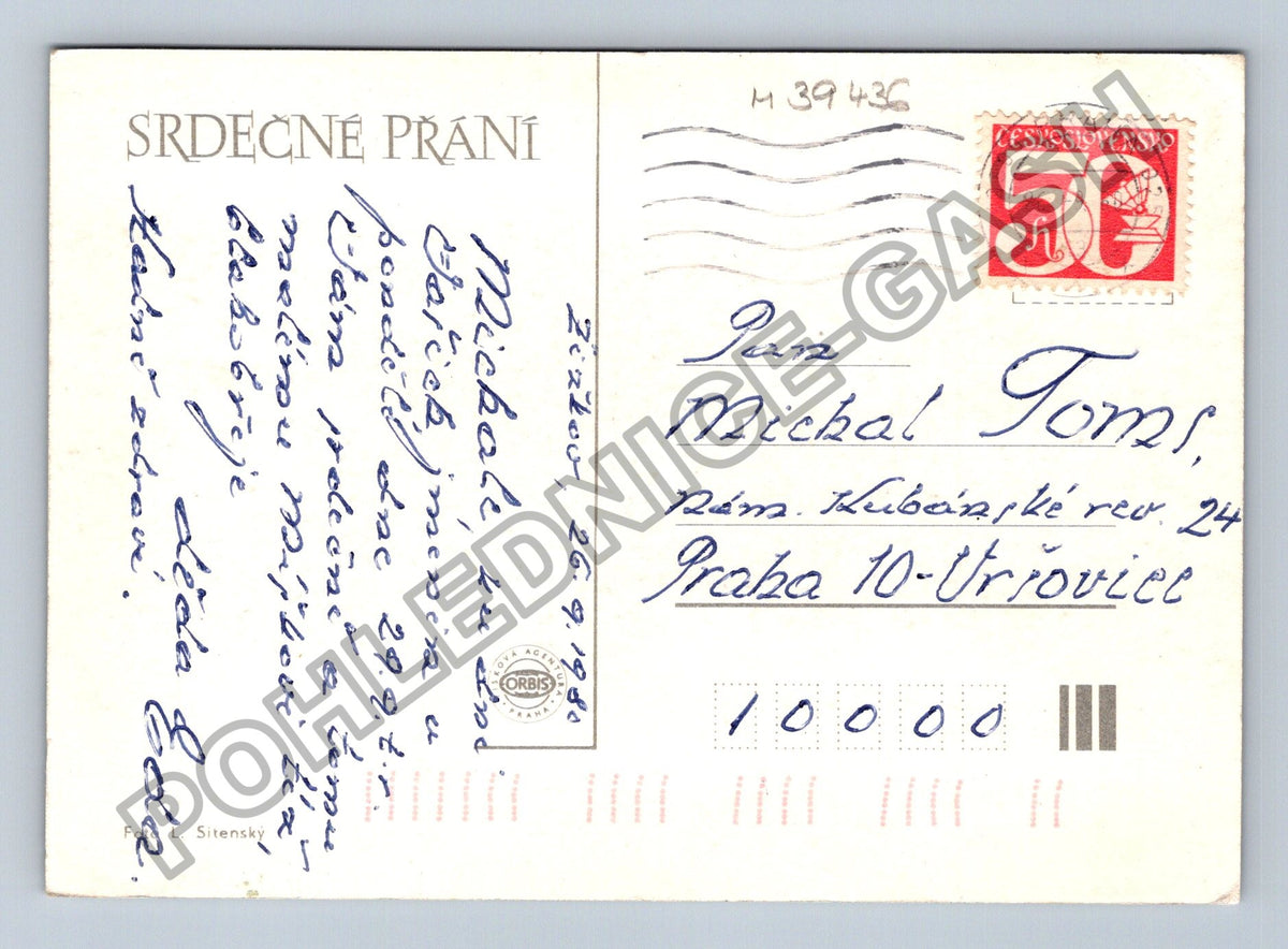 Pohlednice Kytice gerber (M39436)