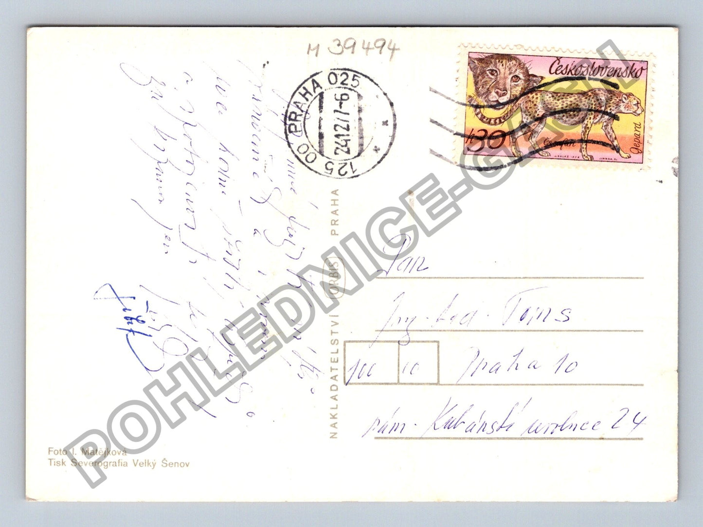 Pohlednice Jmelí jablko vlašské ořechy mandle (M39494)