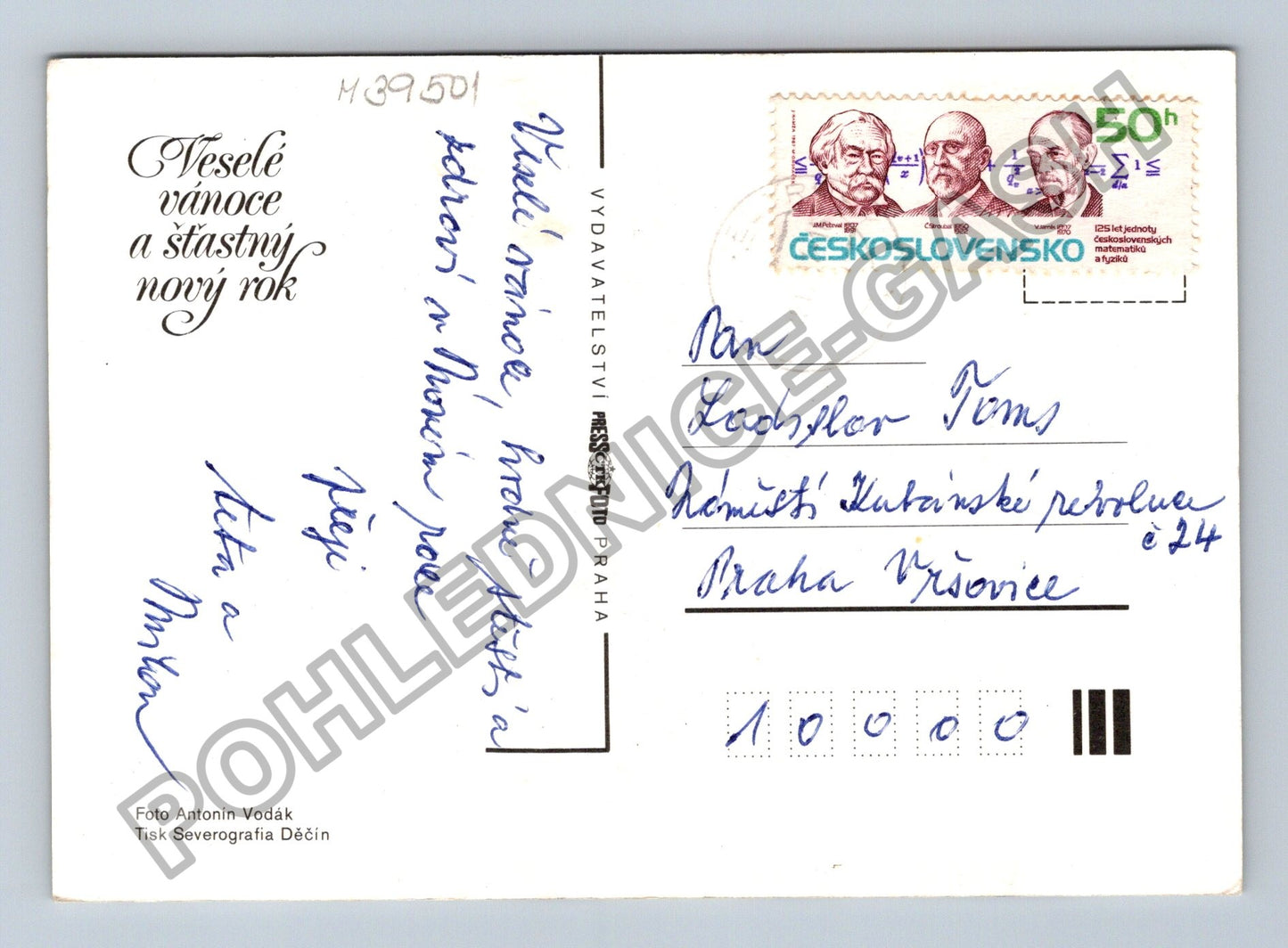 Pohlednice jablka ořechy jehličí Veselé vánoce (M39501)