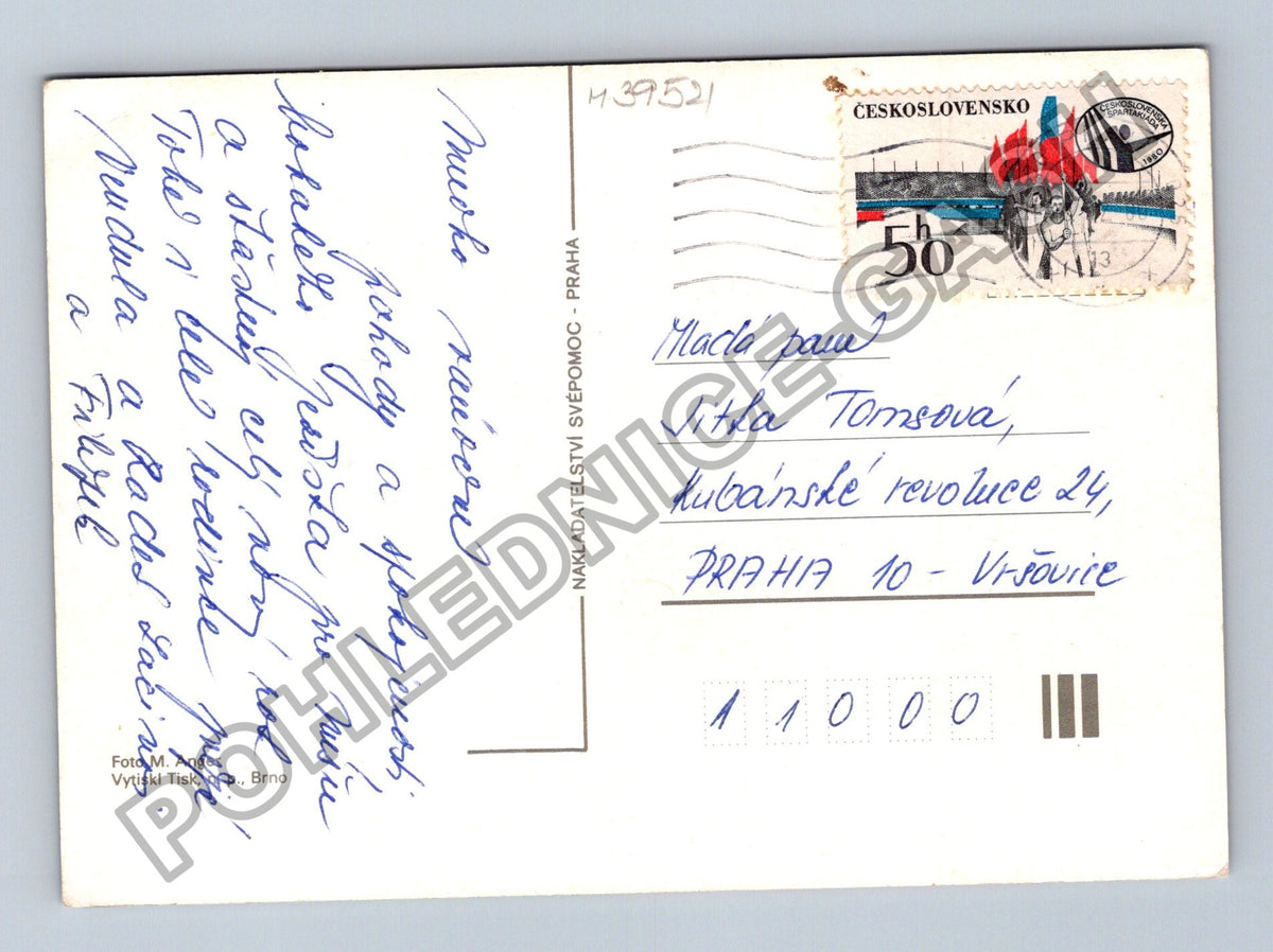 Pohlednice Vánoční motiv ořechy ozdoba jehličí (M39521)