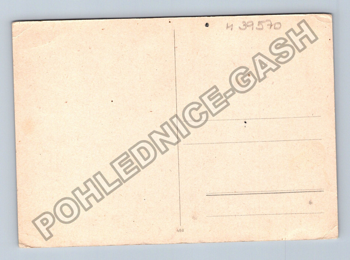 Pohlednice Řeka s odrazem stromů a kachnou (M39570)