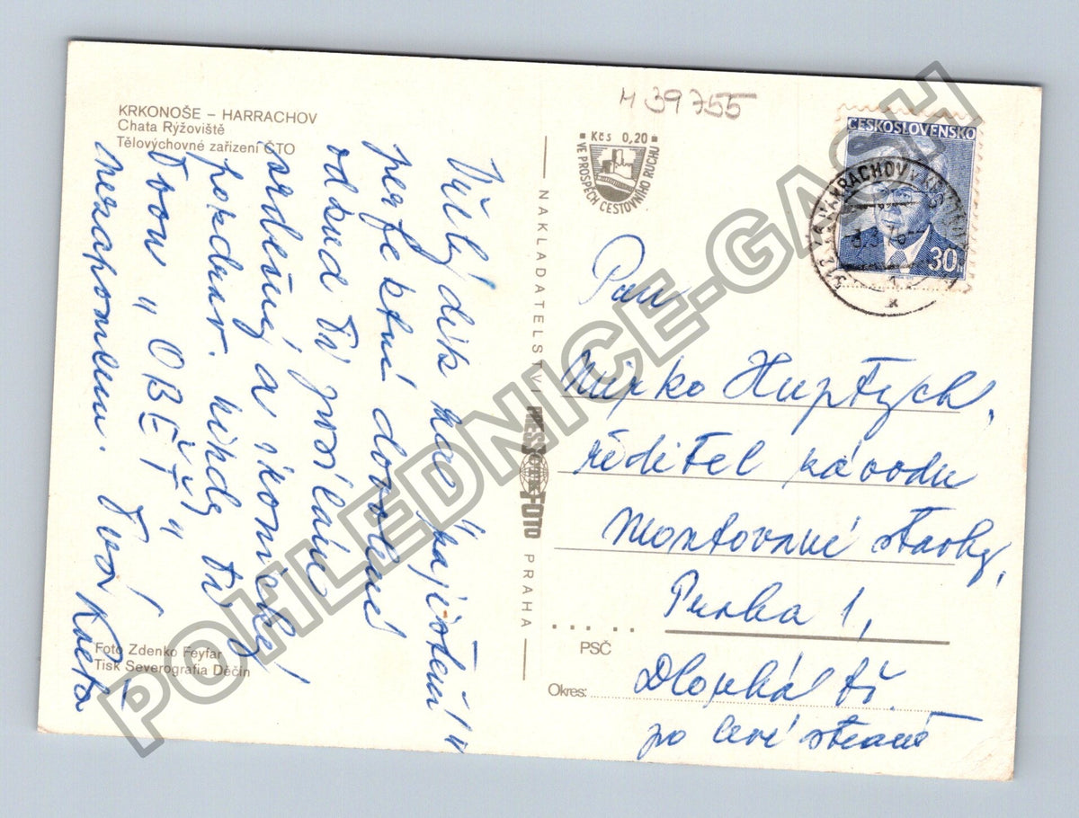 Pohlednice Krkonoše Harrachov Chata Ryžoviště zimní (M39755)