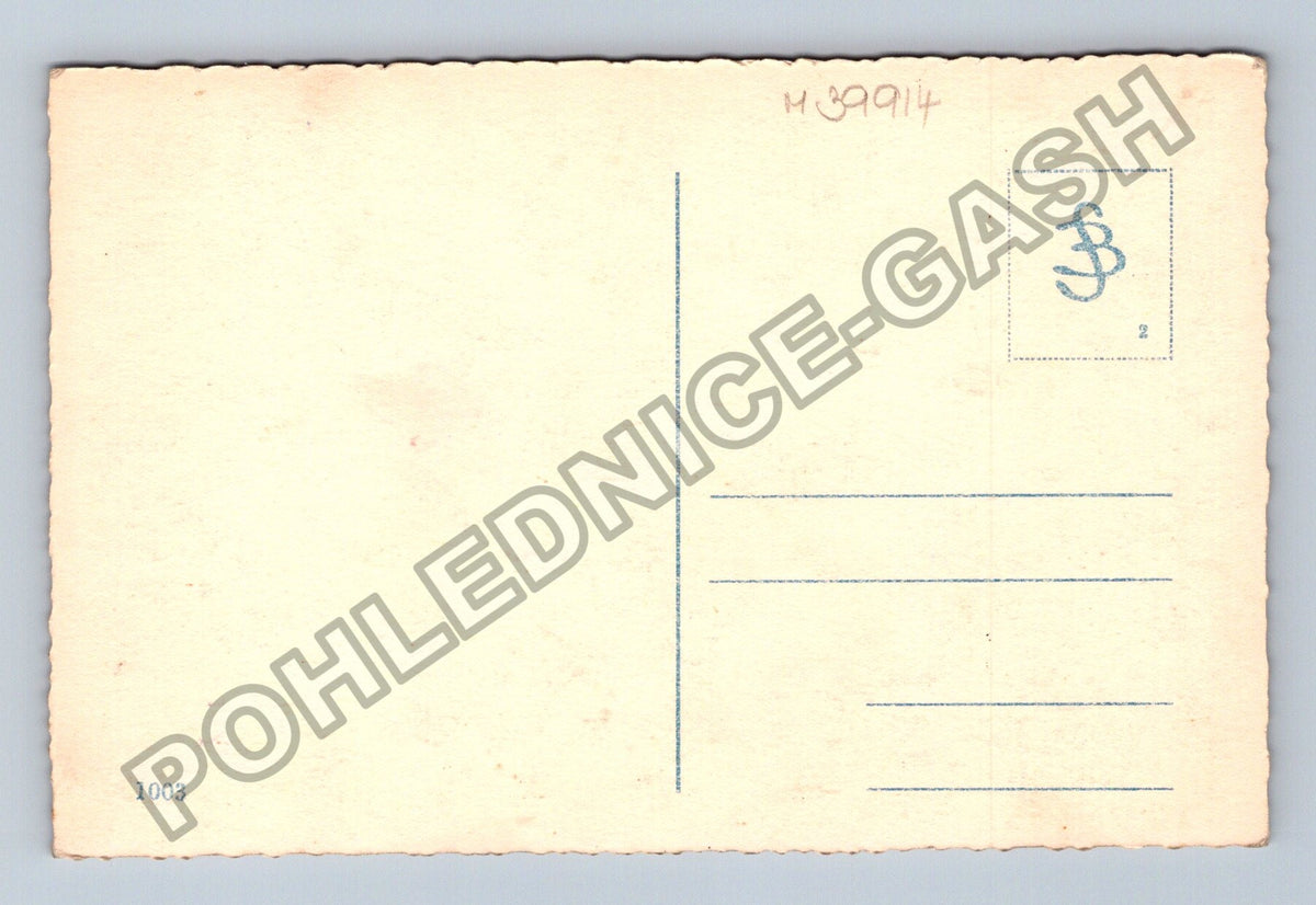 Pohlednice Stromy u vody se zrcadlením (M39914)