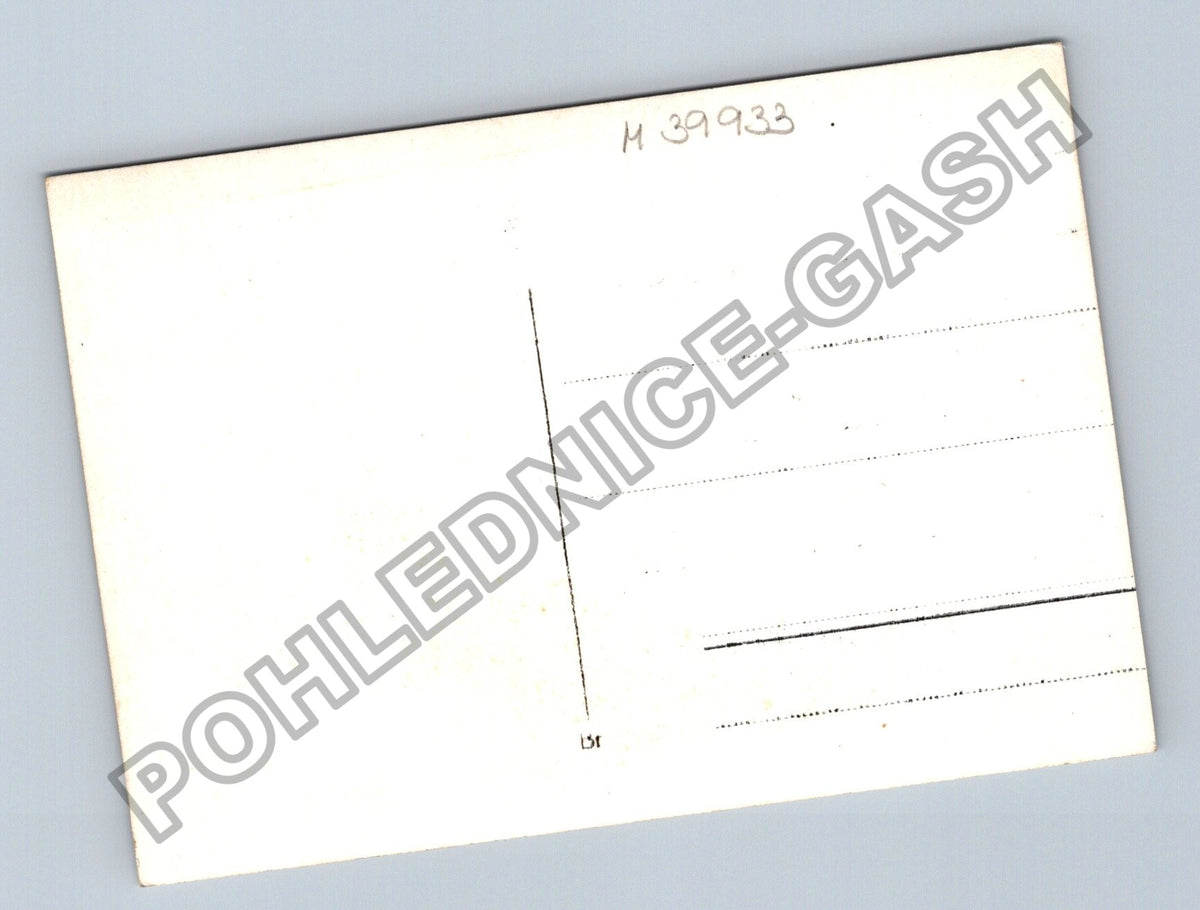 Pohlednice Vojáci s vlajkou průvod shromáždění (M39933)