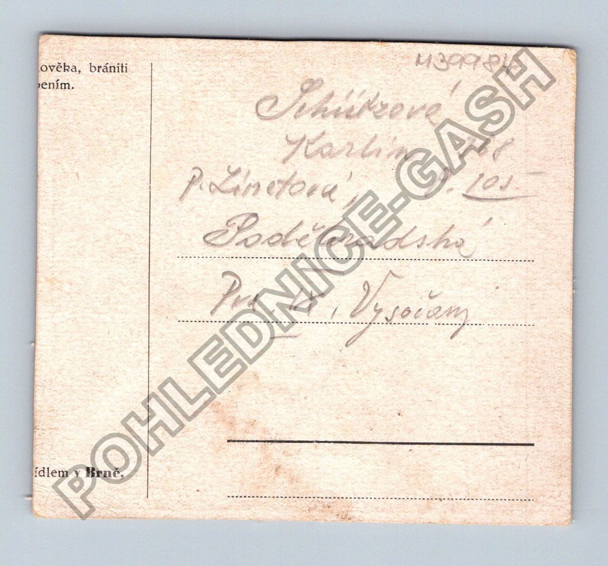 Pohlednice štěňata psů ležící na zádech (M39984)
