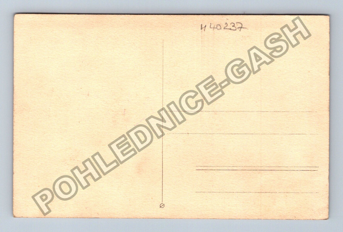 Pohlednice portrét chlapce s motýlkem (M40237)