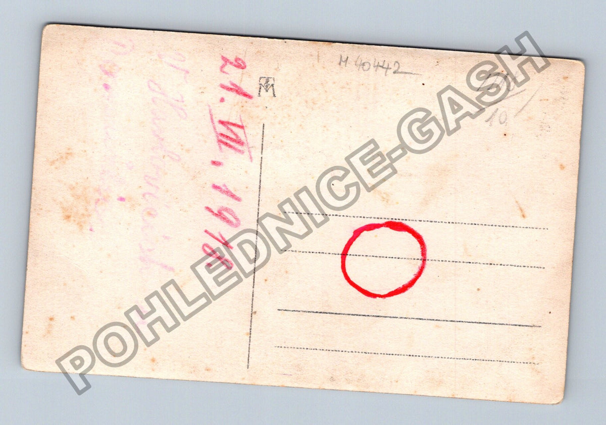 Pohlednice Skupinová fotografie rodiny v přírodě 1918 (M40442)