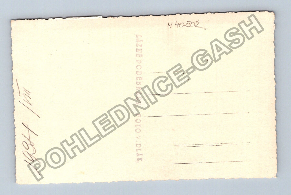 Stará fotografie Lázně Poděbrady Foto Vidle 1934 (M40502)