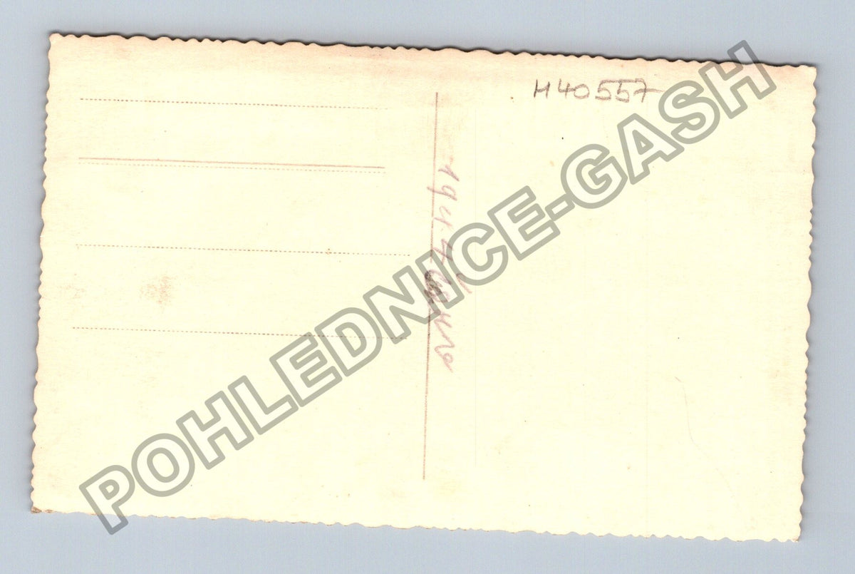 Rodinná fotografie muž žena chlapec 1947 (M40557)