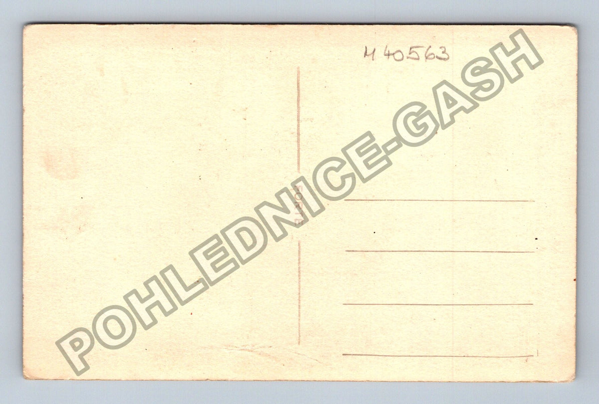 Pohlednice Žena v zahradě s kbelíky (M40563)