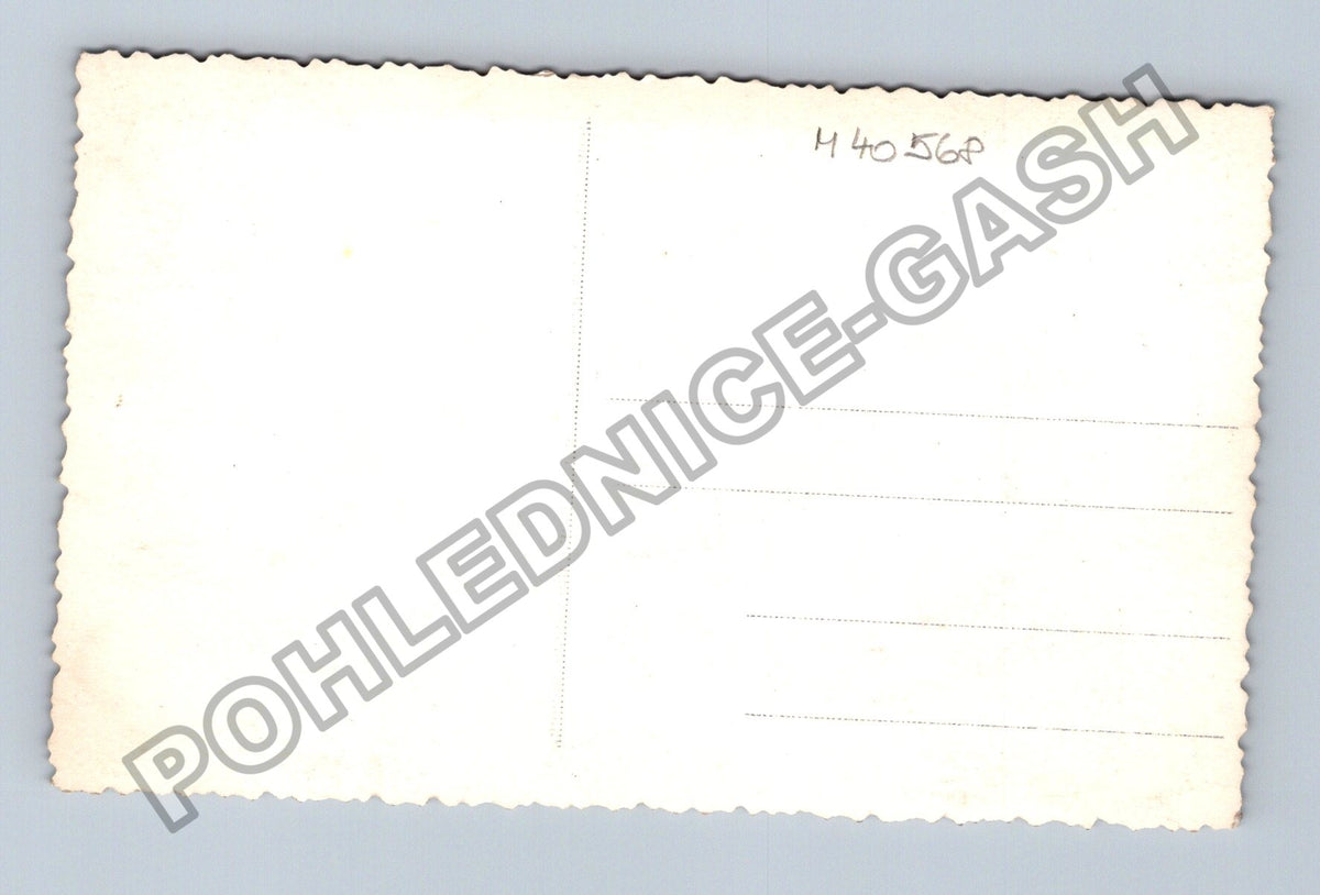 Pohlednice portrét starší pár 1942 (M40568)