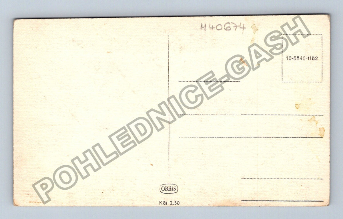 Pohlednice alej stromů břízy (M40674)
