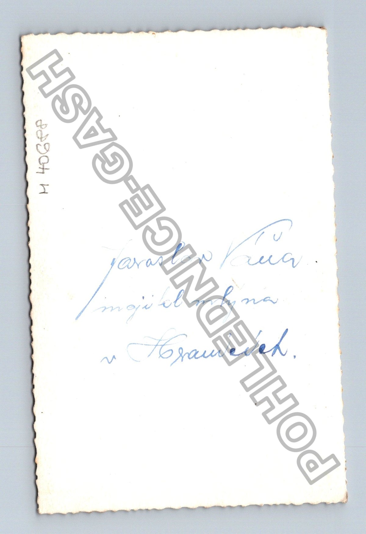 Stará fotografie Jaroslav Křesťan majitel mlýna v Hranicích (M40688)