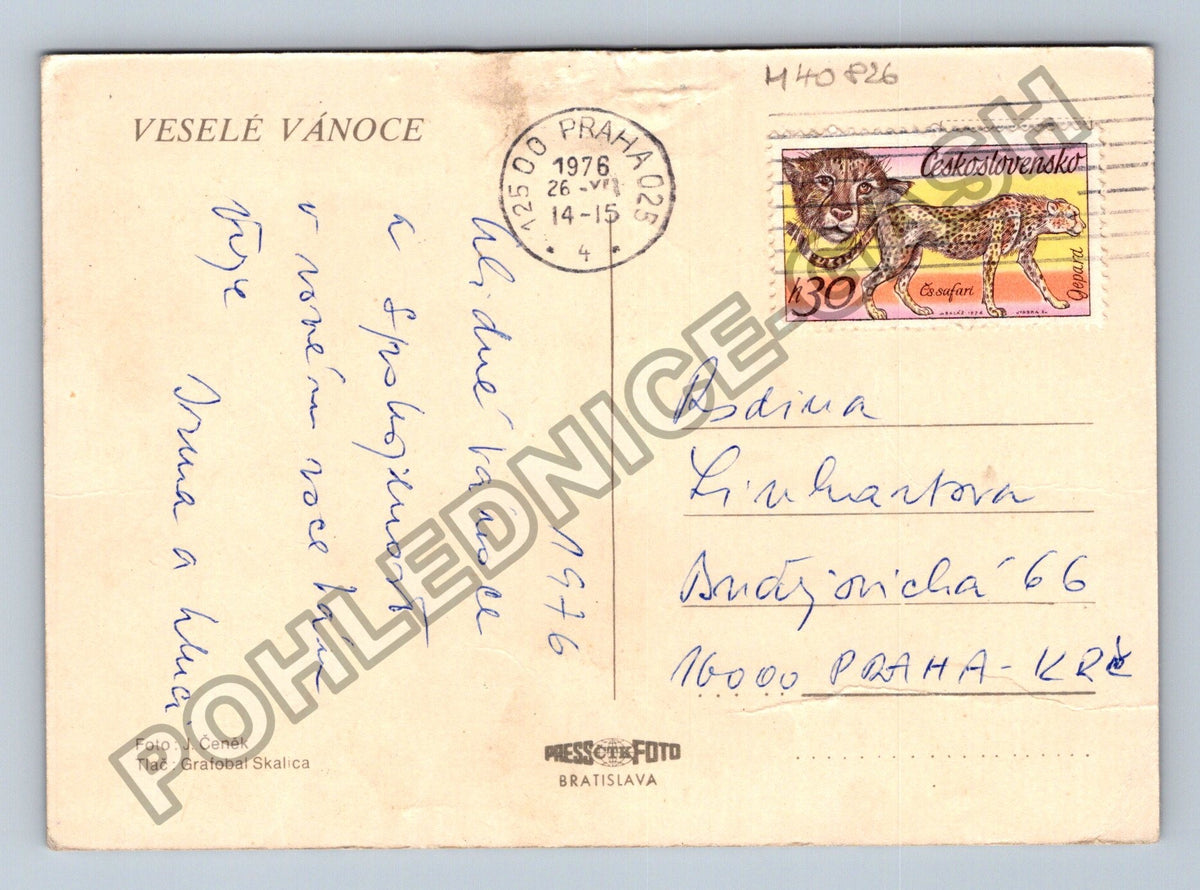 Pohlednice Vánoční zátiší svíčka větvička (M40826)