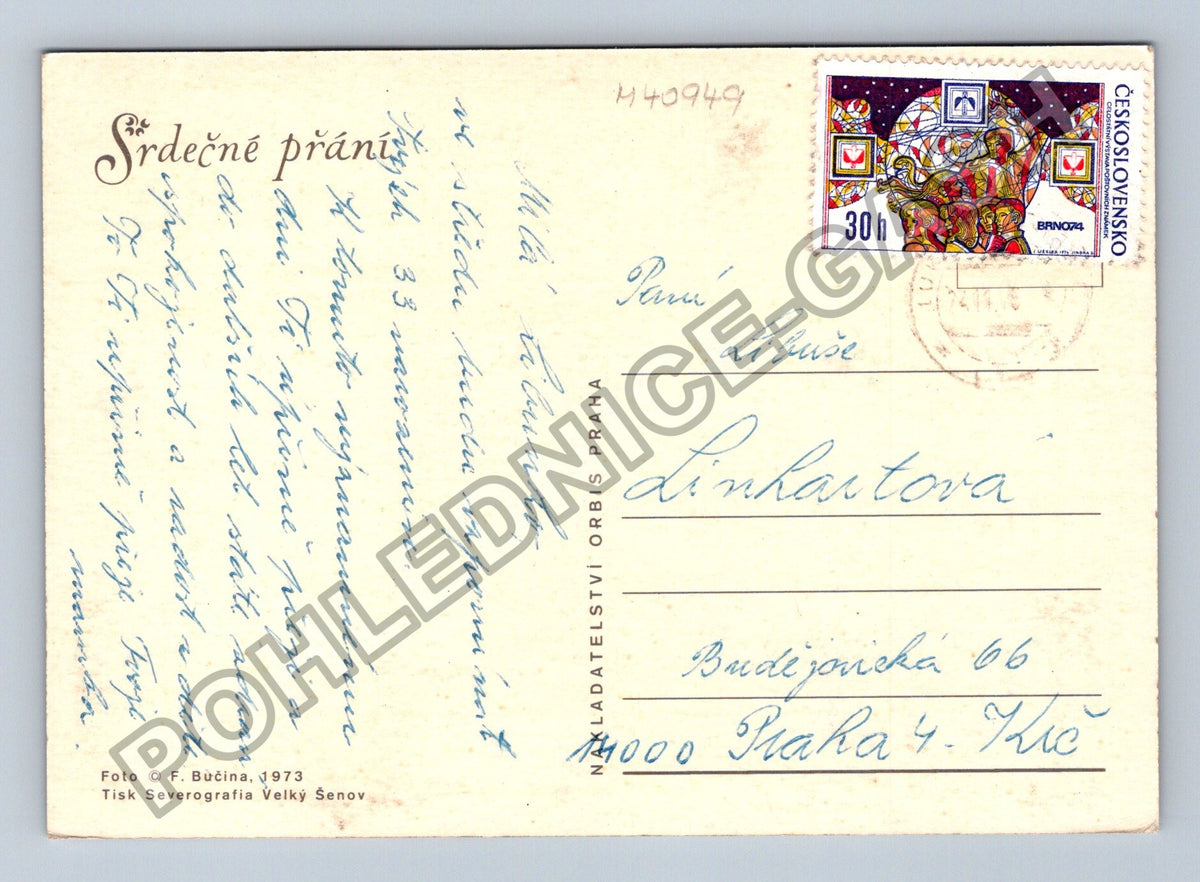Pohlednice Karafiáty květiny (M40949)