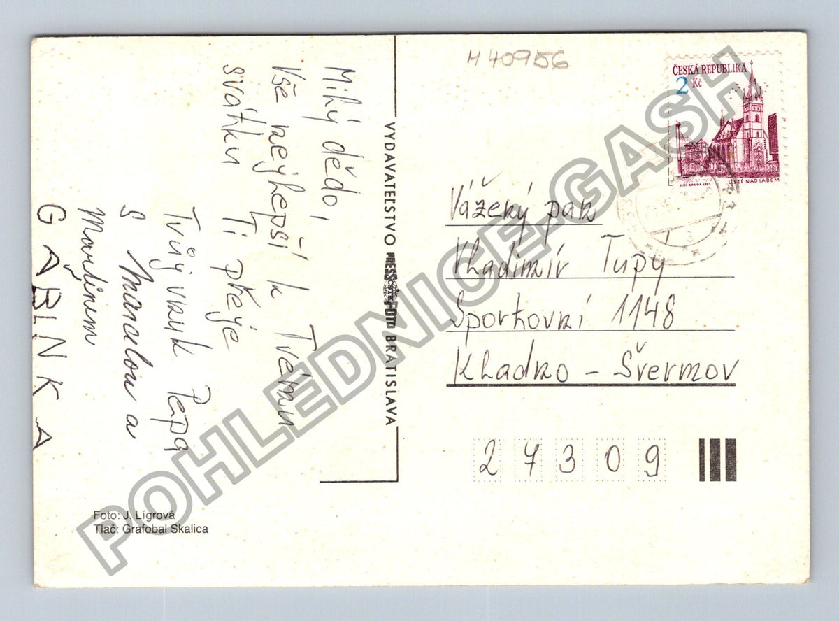Pohlednice růže Srdcečné blahopřání (M40956)