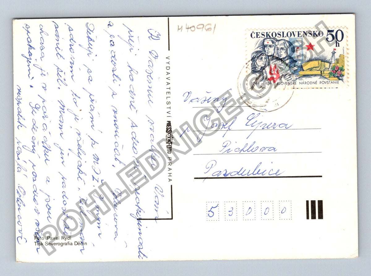 Pohlednice květiny fialky (M40961)