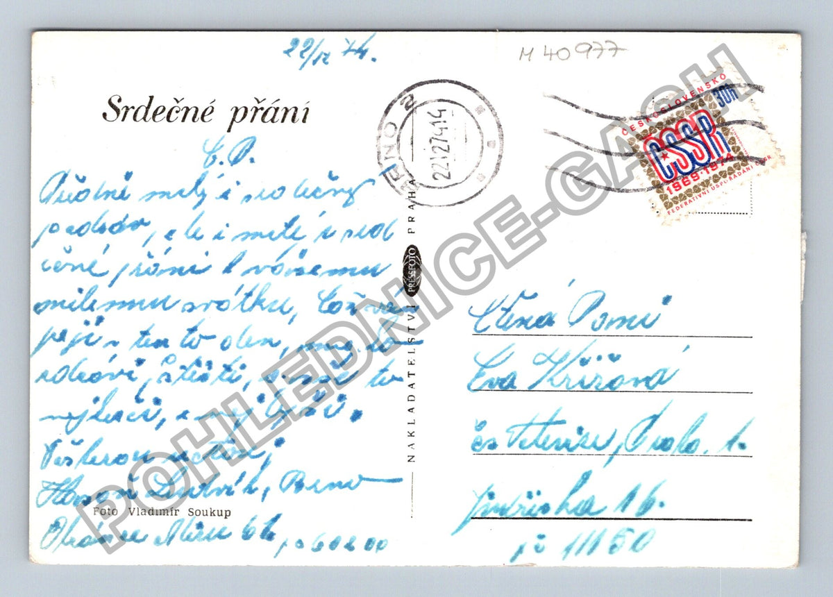 Pohlednice Růže s kapkami vody černobílá (M40977)