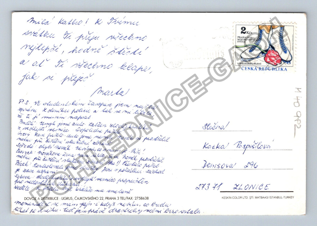 Pohlednice Pes brýle kytice čokoláda Valentýn (M40982)