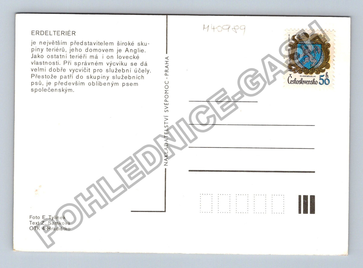 Pohlednice Erdelteriér pes (M40989)