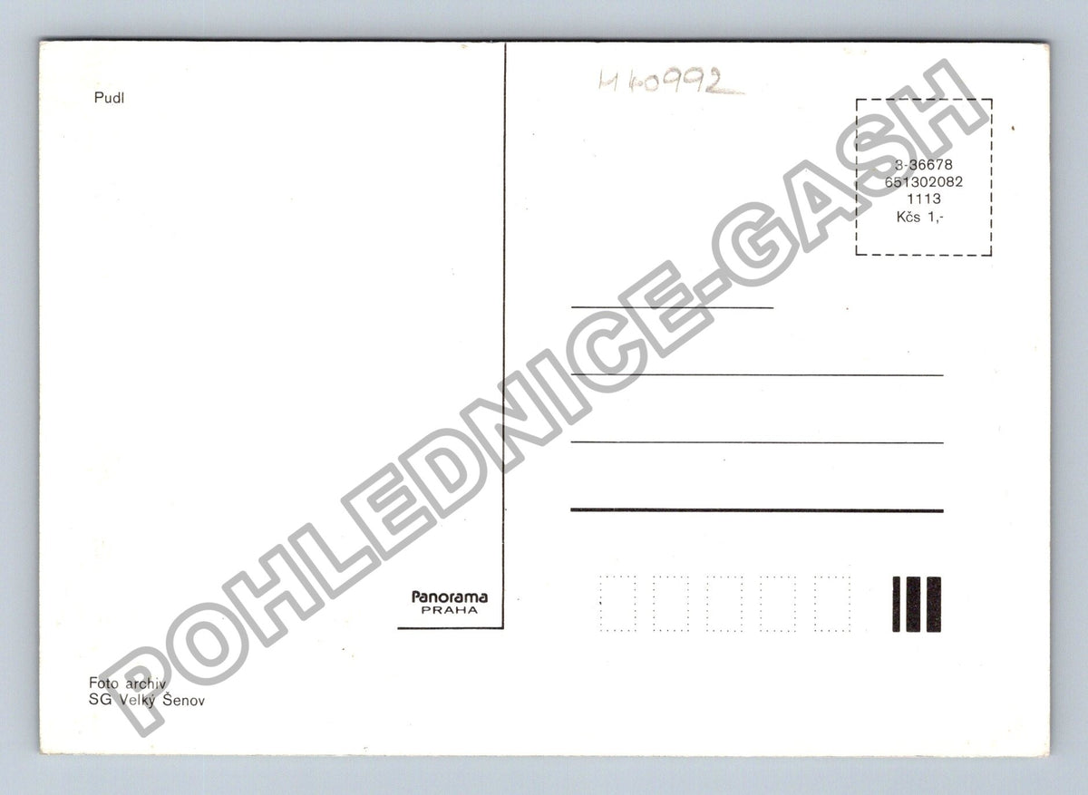 Pohlednice Pudl (M40992)