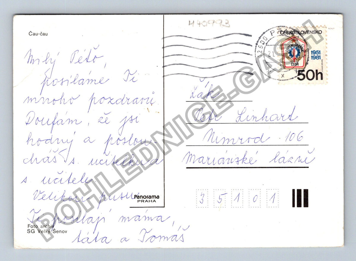 Pohlednice Čau-čau pes Mariánské Lázně 1981 (M40993)