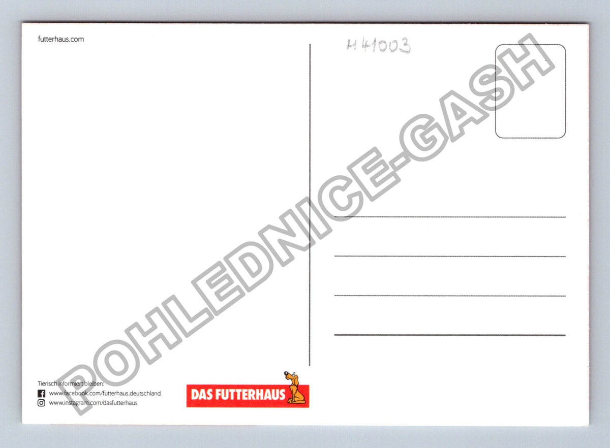 Pohlednice Německo kočka DAS FUTTERHAUS reklama (M41003)