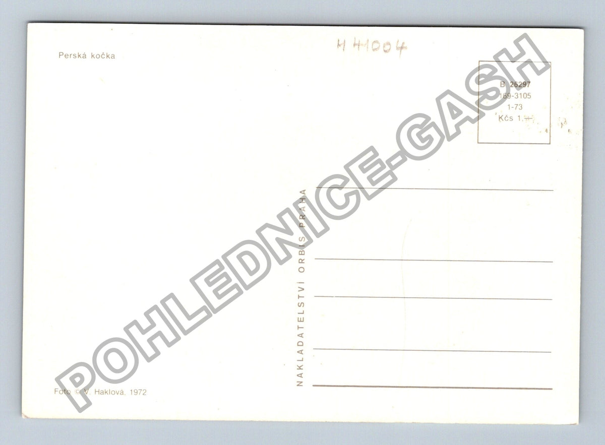 Pohlednice Perská kočka vyplazený jazyk 1972 (M41004)