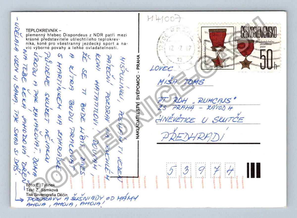 Pohlednice kůň teplokrevník Dispondeus NDR 1977 (M41007)