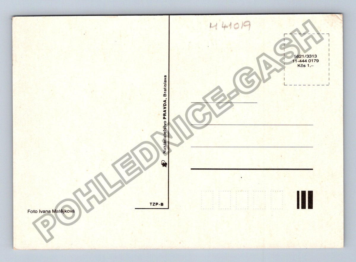 Pohlednice Etnografie krojovaný pár děti chalupa (M41019)
