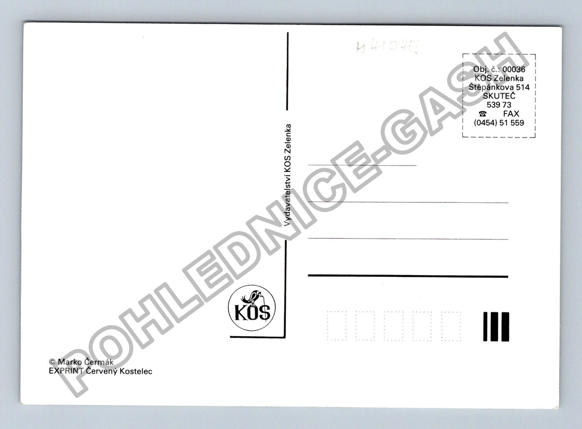 Pohlednice Dva muži a pes v lese mapa (M41045)