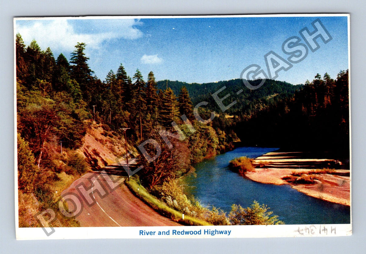 Pohlednice USA Giant Redwood Avenue of the Giants (M41347)