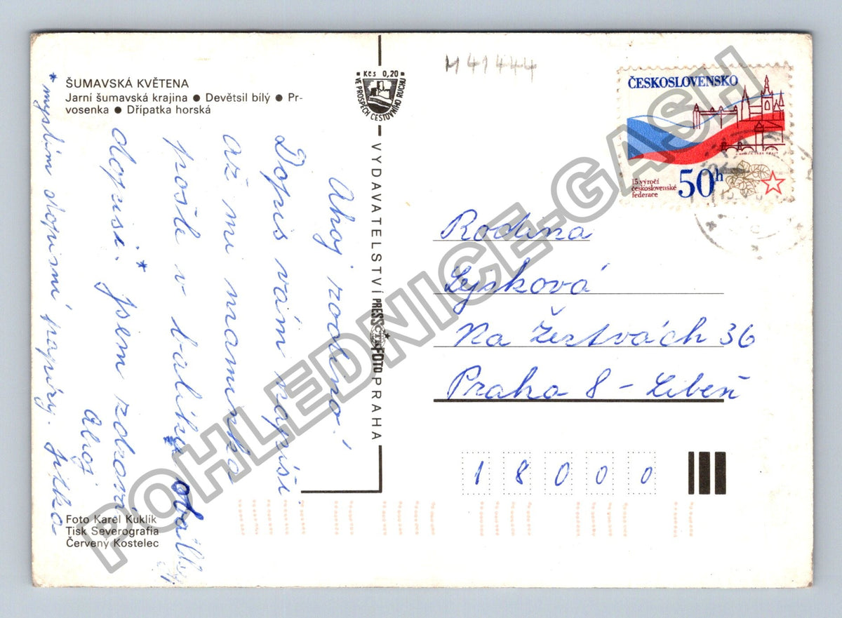 Pohlednice Šumavská květena koláž bříza potok rostliny (M41444)