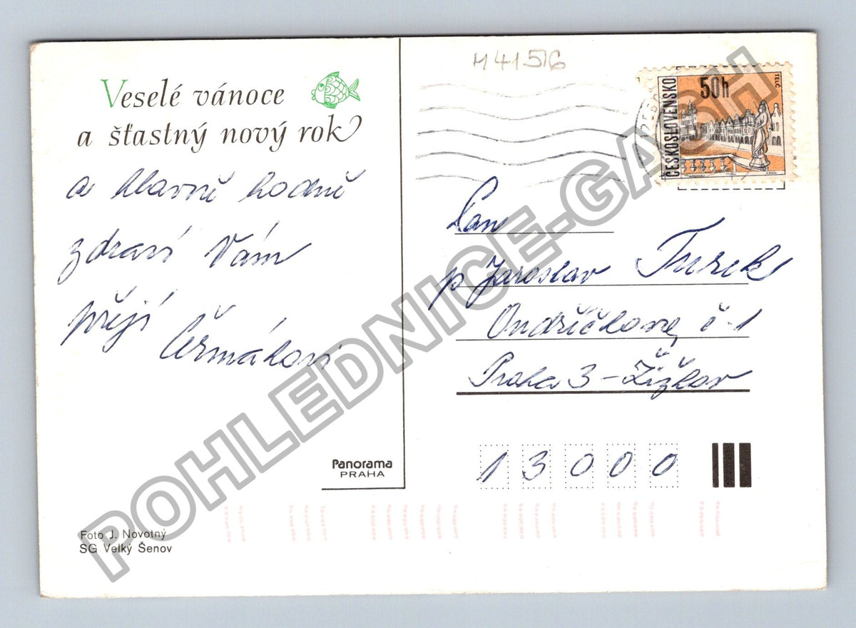 Pohlednice Vánoční zátiší svíčka vánoční hvězda ovoce (M41516)