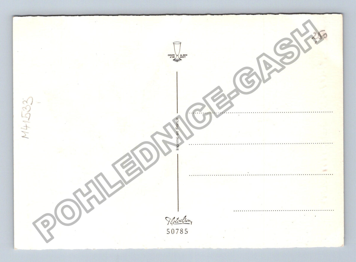 Pohlednice Francie konvalinky Porte Bonheur (M41533)