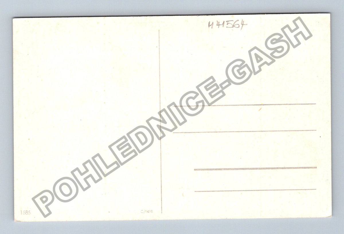 Pohlednice Kytice červených růží ve váze (M41564)
