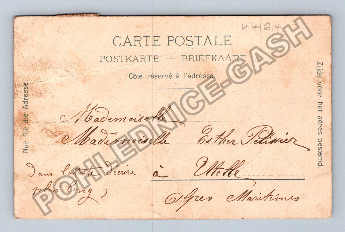 Pohlednice Francie květy pomerančovníku 1904 (M41614)