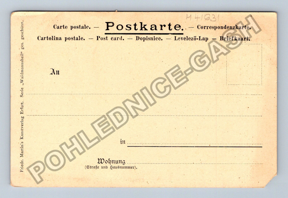 Pohlednice myslivec v lese lov ptáků (M41631)