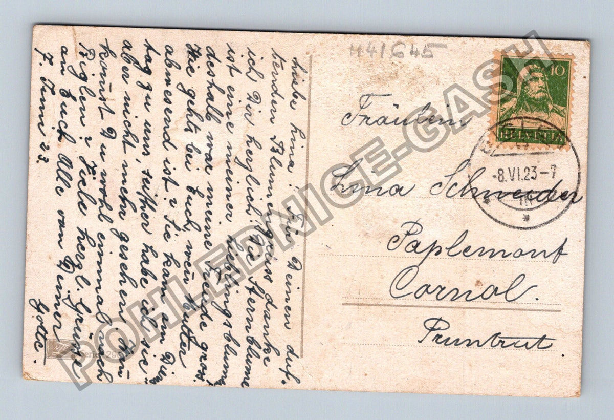 Pohlednice Švýcarsko květiny růže karafiáty 1923 (M41645)